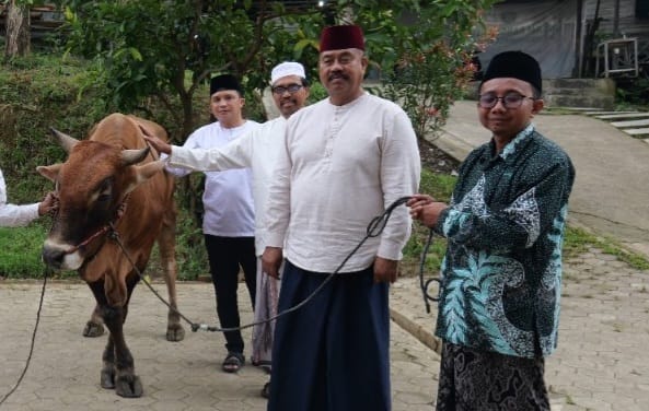 Bupati Kukar, Edi Damansyah, menyerahkan dua ekor sapi kurban kepada Ponpes Darus Salamah dan Ponpes Nurul Islam Tenggarong Seberang dan diterima langsung oleh Pimpinan Ponpes Nurul Islam, KH Abdul Hanan.
